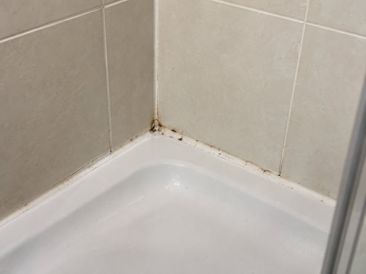 Photo d’illustration : traces sur les joints au bas d’une douche.